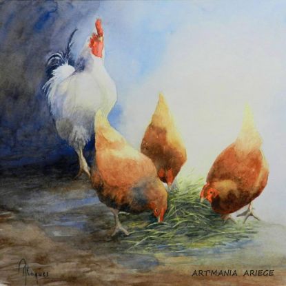 Histoire de poules