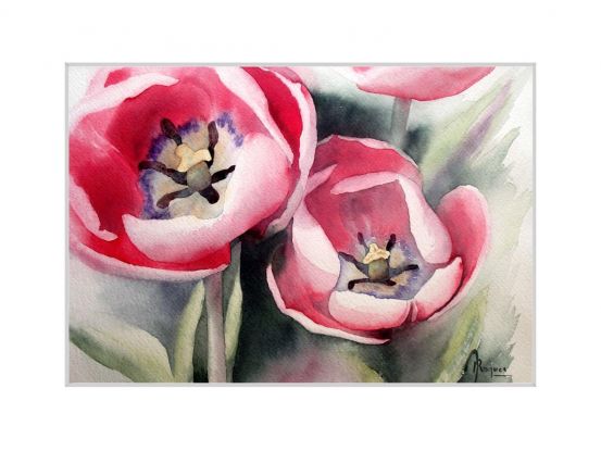 Cœurs de tulipes