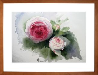 Duo de roses
