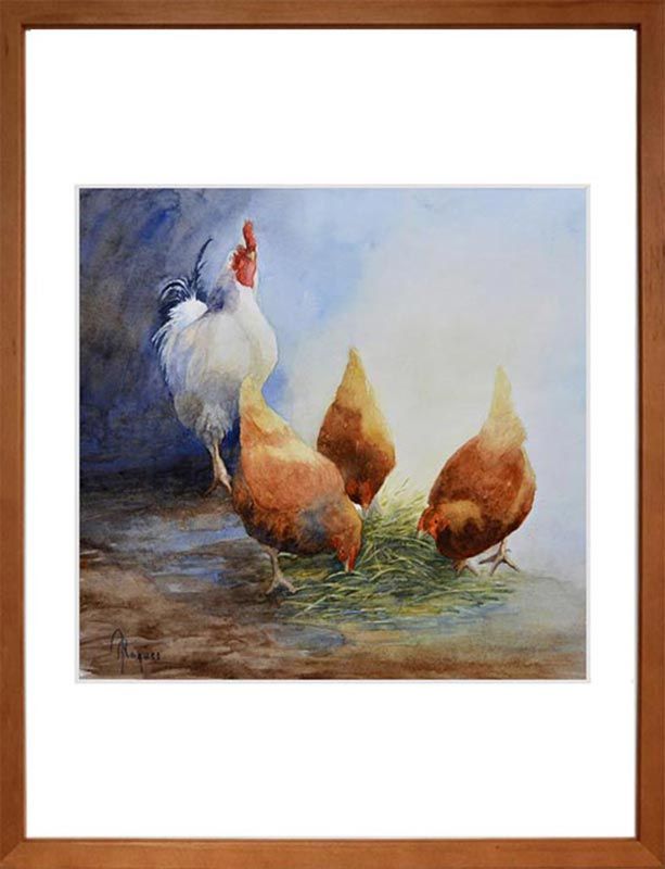 Histoire de poules