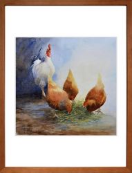 Histoire de poules